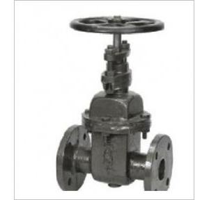 Sant Cast Iron Wedge Gate Sluice Valve Renewable Seat 200 mm, CR 19